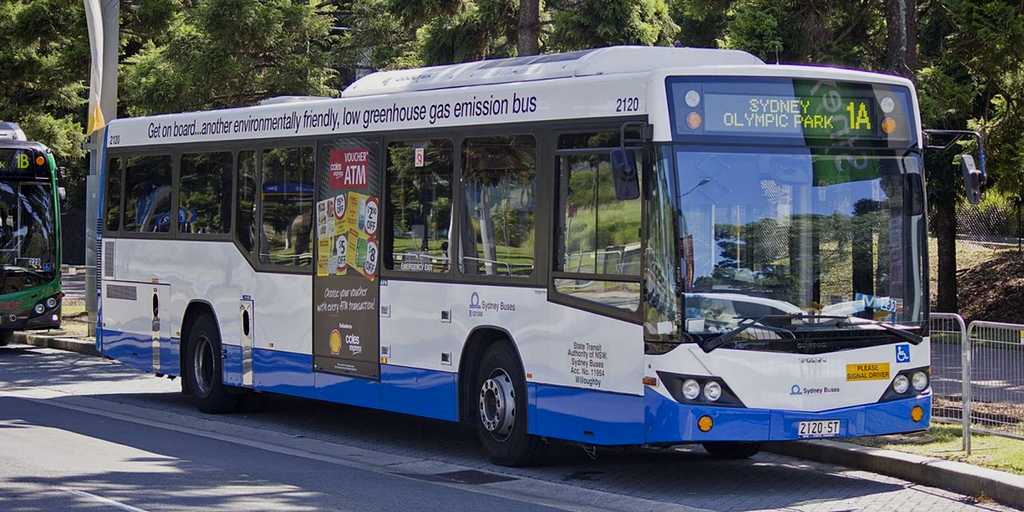 Mestská doprava v Sydney-Autobusy